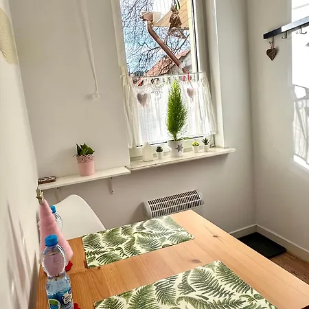 公寓 Apartamencik Centrum 波兰尼卡-兹德鲁伊